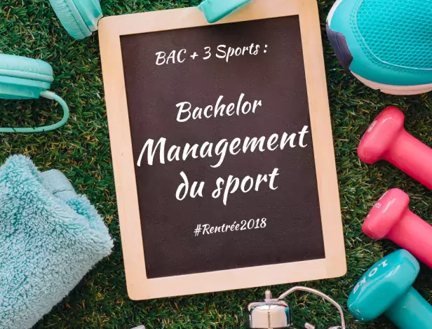 management-du-sport